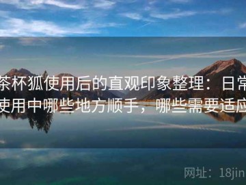 茶杯狐使用后的直观印象整理：日常使用中哪些地方顺手，哪些需要适应