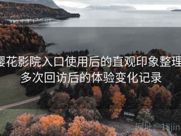 樱花影院入口使用后的直观印象整理：多次回访后的体验变化记录