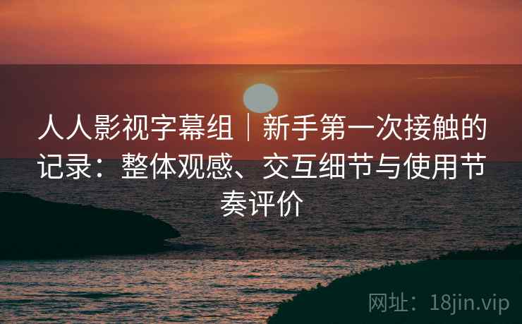 人人影视字幕组｜新手第一次接触的记录：整体观感、交互细节与使用节奏评价