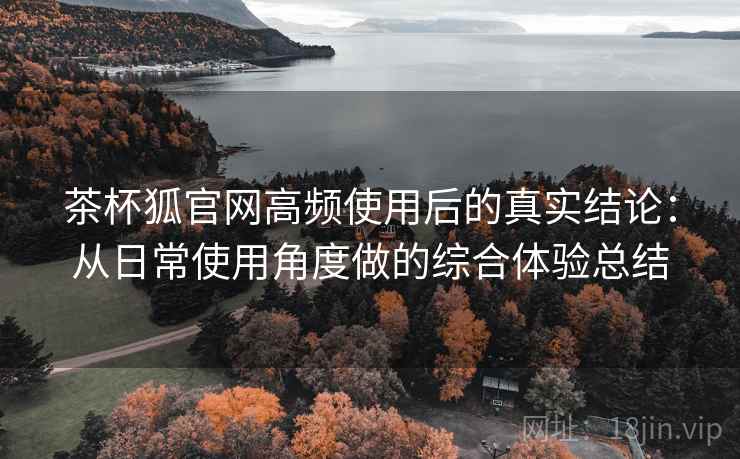 茶杯狐官网高频使用后的真实结论：从日常使用角度做的综合体验总结